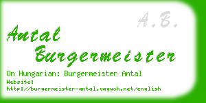 antal burgermeister business card
